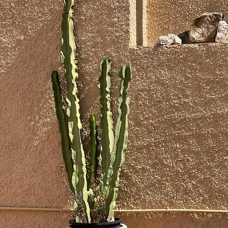 Villa Casa Schaik El Albir