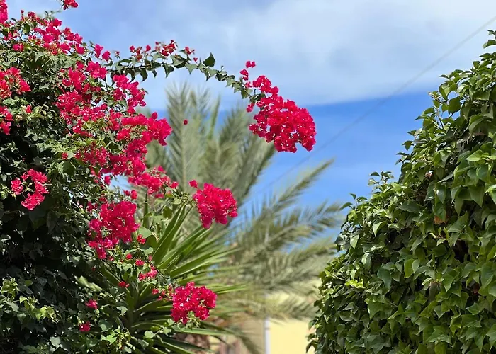 Villa Casa Schaik El Albir