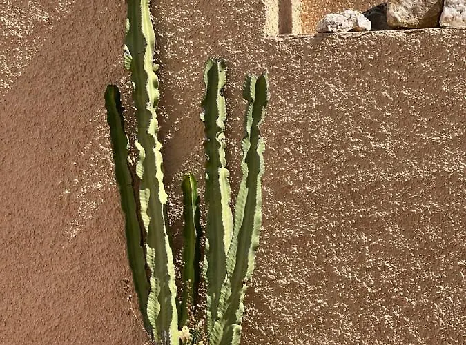 Villa Casa Schaik El Albir